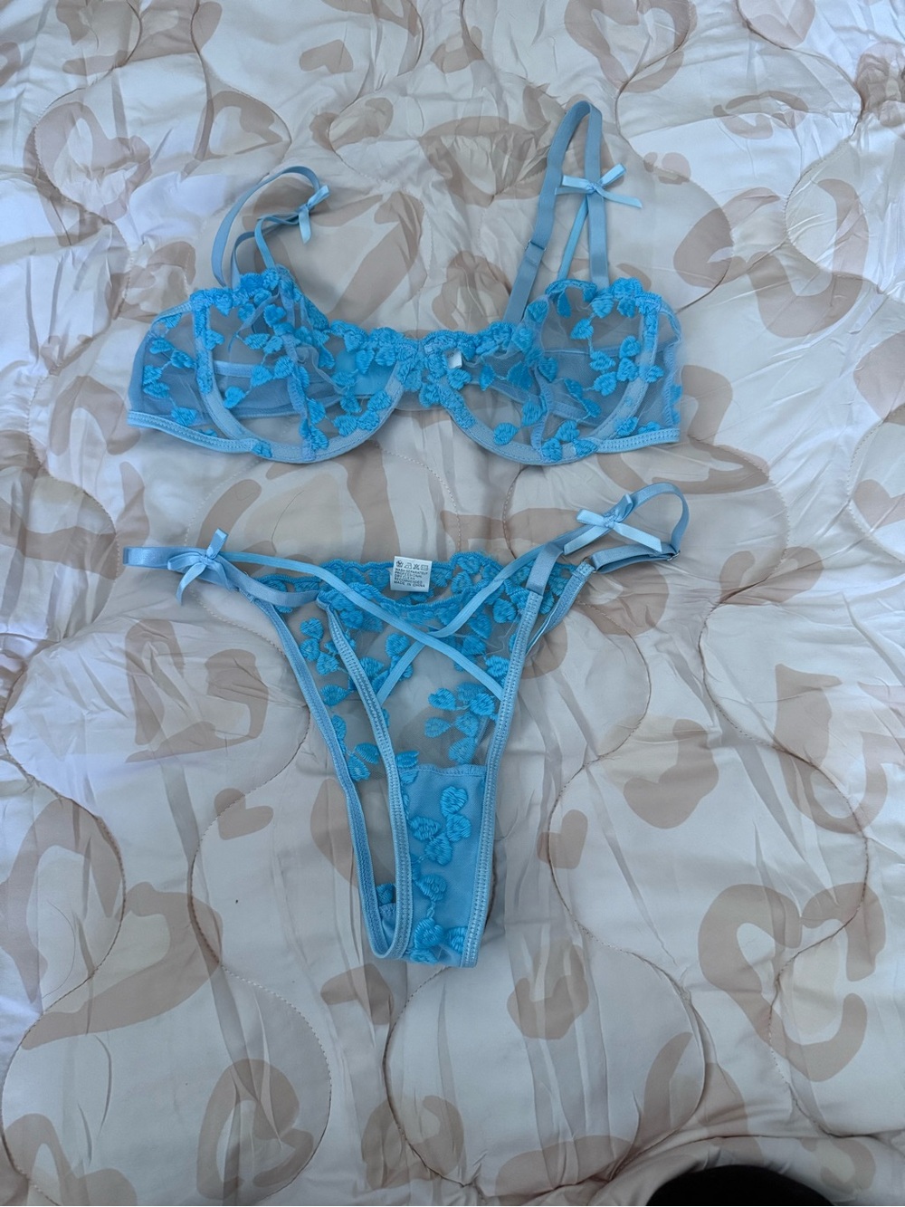 Blue Floral Embroidered Sheer Bra & Thong Set